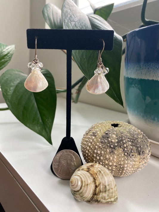 Sea shell 'trillion' shaped earrings SU23-ES0001